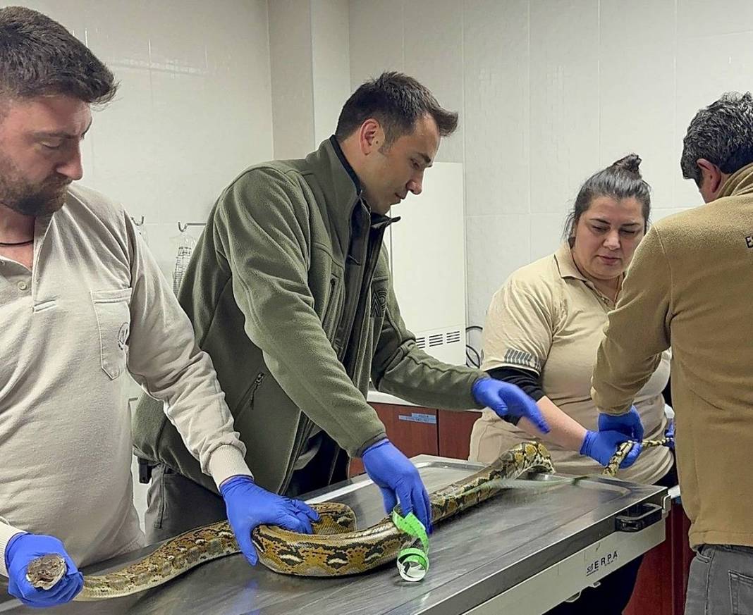 Otobüsle taşınan varilden çıkan şoke etti! Polisin gözleri fal taşı gibi açıldı 3